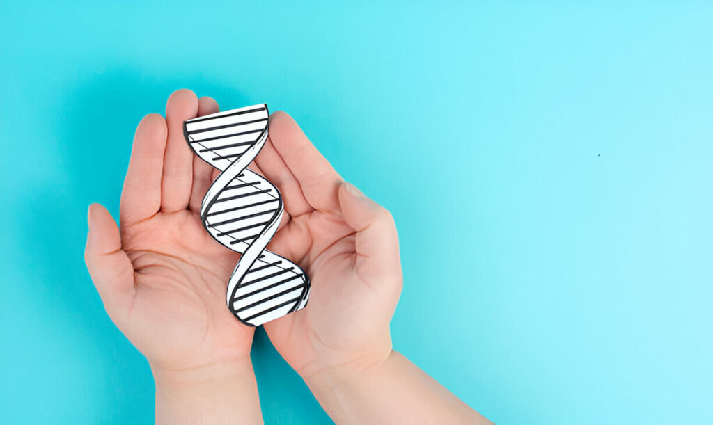 בדיקת DNA בתביעת אבהות – מתי ואיך זה נעשה