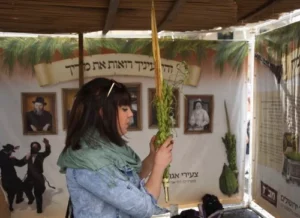 סוכות (זכות) סוכות (זכות)