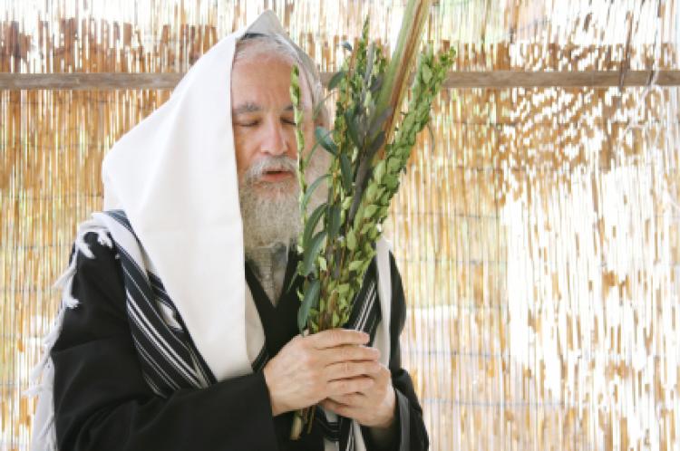 עורך דין הגירה | עורך דין גבריאל בנטוב במשרד הפנים | סוכות (זכות) – חג הסוכות ומשמעותו הרוחנית והמעשית מתי נכנס סוכות ומה המשמעות של זמני החג